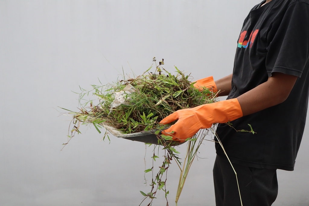 How to Clean Landscape Rocks? Stone Center